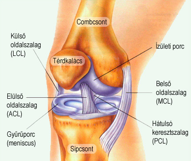 ízületi fájdalom a lábakban és felett hogyan lehet enyhíteni az ízületi fájdalmakat nyújtás közben